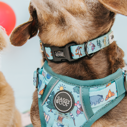 Dog Step-in Harness - Disney's Winnie the Pooh