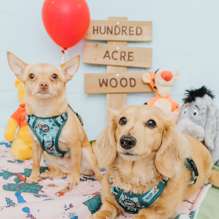 Dog Step-in Harness - Disney's Winnie the Pooh