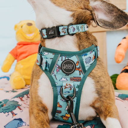 Dog Step-in Harness - Disney's Winnie the Pooh