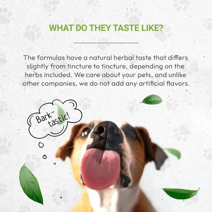 Wolf's Heart - Healthy Heart Function Support in Dogs