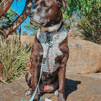 Dog Adjustable Harness - Shrooms & Blooms