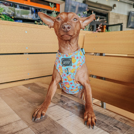 Dog Adjustable Harness - Good Duck, Babe!