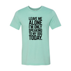 2XL / Heather Mint