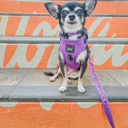 Dog Adjustable Harness - Neon Purple