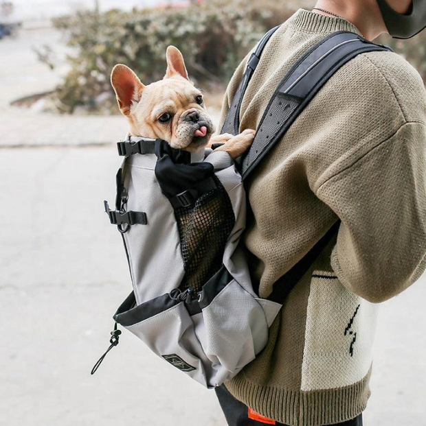 Banner image for: <h2><strong>Carry Them Anywhere. Comfortably.</strong></h2>