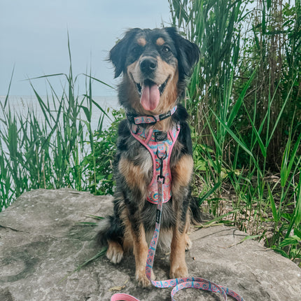 Dog Step-in Harness - Good Vibes