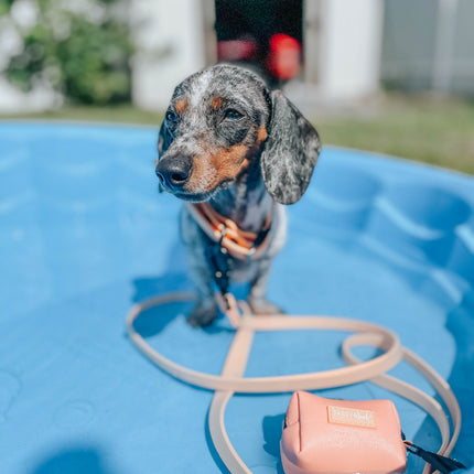 Dog Waterproof Leash - Orange