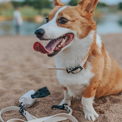 Dog Waterproof Leash - Beige