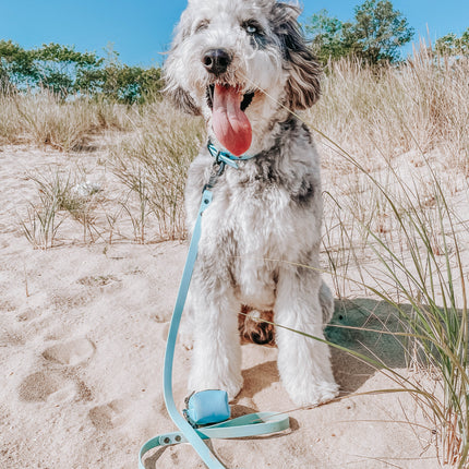 Dog Waterproof Leash - Blue