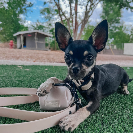 Dog Waterproof Leash - Beige