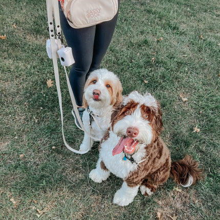 Dog Waterproof Leash - Beige