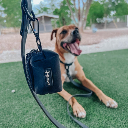 Dog Waterproof Leash - Black