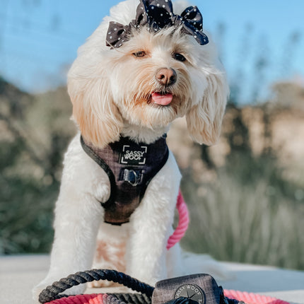 Dog Rope Leash - Juliet