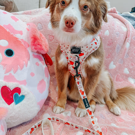 Dog Adjustable Harness - P.S. I Woof You
