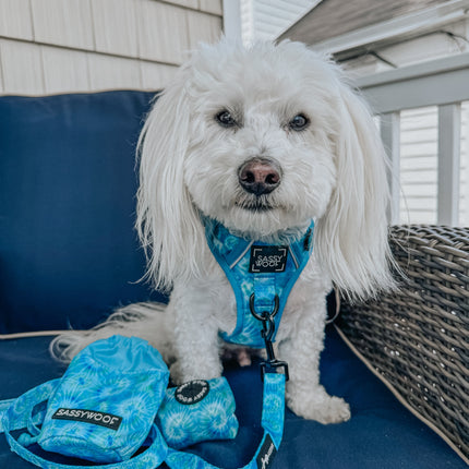 Dog Step-in Harness - Tropical Tides