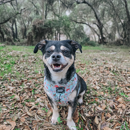 Dog Adjustable Harness - Shrooms & Blooms