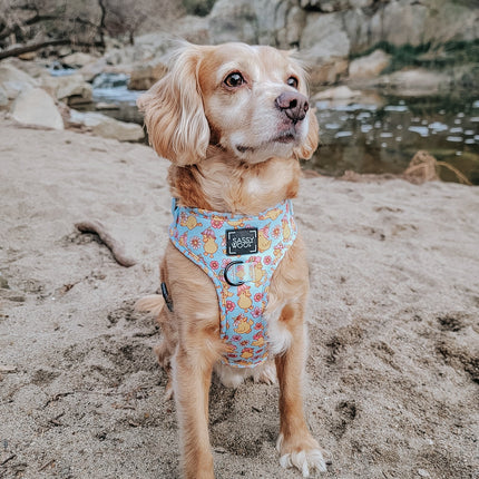Dog Adjustable Harness - Good Duck, Babe!