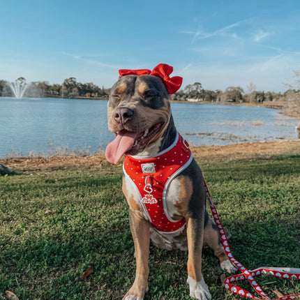 Dog Adjustable Harness - Little Love