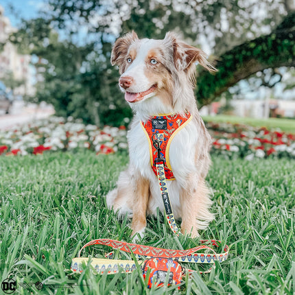 Dog Adjustable Harness - Wonder Woman™