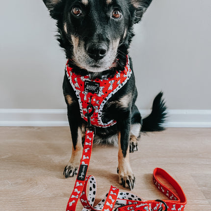 Dog Collar - Disney's 101 Dalmatians