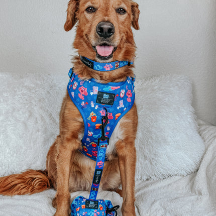 Dog Adjustable Harness - Blue's Clues™
