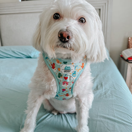 Dog Adjustable Harness - Care Bears™ Care-a-Lot