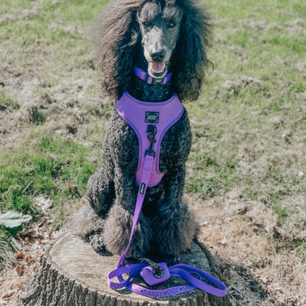 Dog Adjustable Harness - Neon Purple