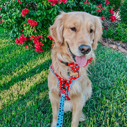 Dog Collar - Disney's 101 Dalmatians