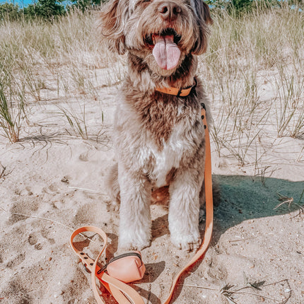 Dog Waterproof Leash - Orange