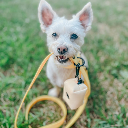 Dog Waterproof Leash - Yellow