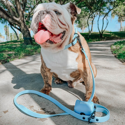 Dog Waterproof Leash - Blue