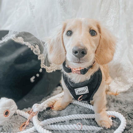 Hands Free Rope Leash - Dove