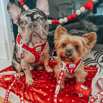 Dog Adjustable Harness - Little Love