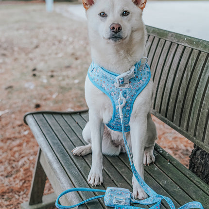 Dog Collar - Cinnamoroll™