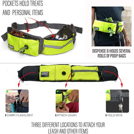 Hands Free Dog Leash Two Dogs Double Bungee Reflective Running Kit