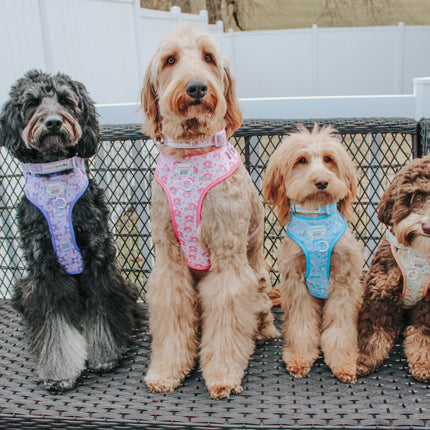 Dog Adjustable Harness - Kuromi™