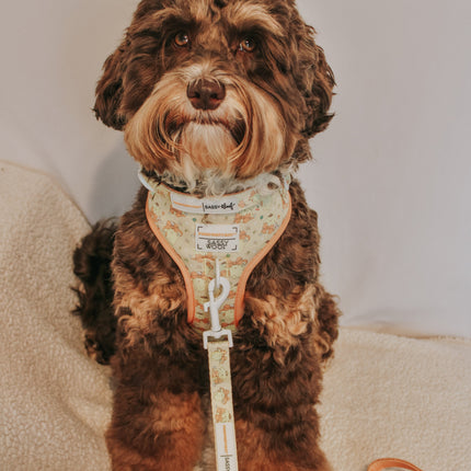 Dog Adjustable Harness - Pompompurin™