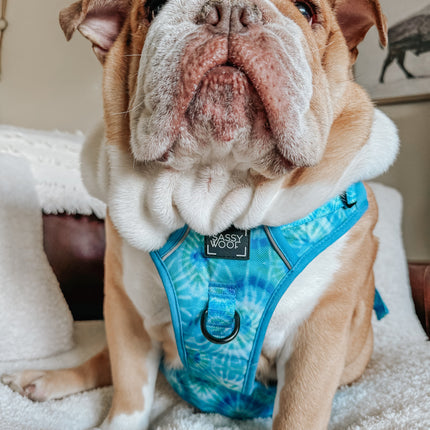 Dog Step-in Harness - Tropical Tides