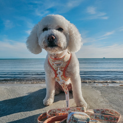 Dog Adjustable Harness - Pompompurin™