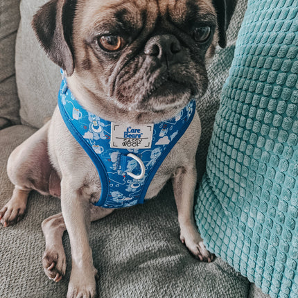 Dog Adjustable Harness - Care Bears™ Grumpy Bear