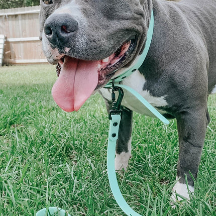Dog Waterproof Leash - Green
