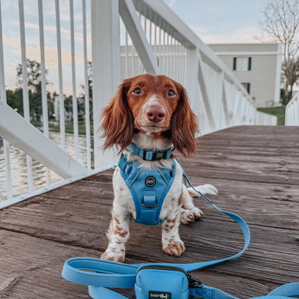 Dog Step-in Harness - Hydrangea