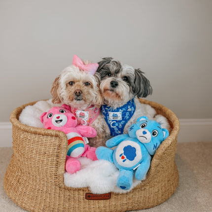 Dog Adjustable Harness - Care Bears™ Grumpy Bear