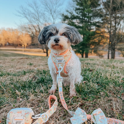 Dog Adjustable Harness - Pompompurin™
