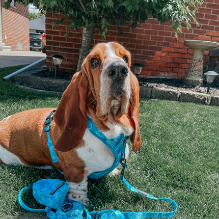 Dog Step-in Harness - Tropical Tides