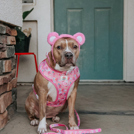 Dog Adjustable Harness - Care Bears™ Cheer Bear