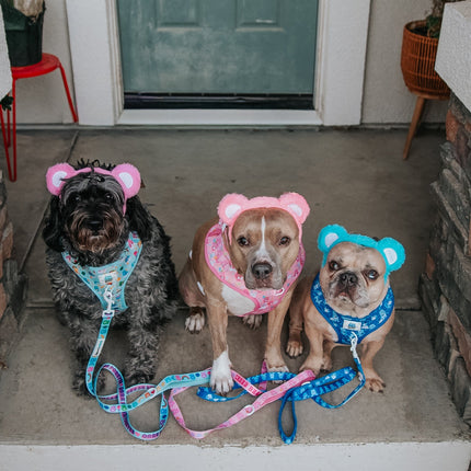 Dog Adjustable Harness - Care Bears™ Grumpy Bear