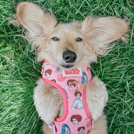 Dog Adjustable Harness - STAR WARS™ Princess Leia