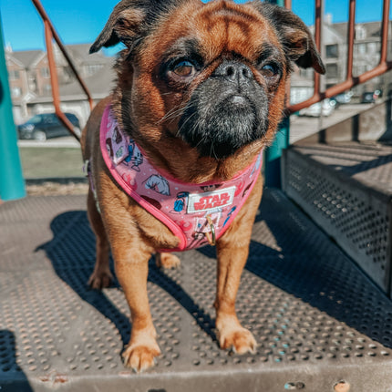 Dog Adjustable Harness - STAR WARS™ Princess Leia