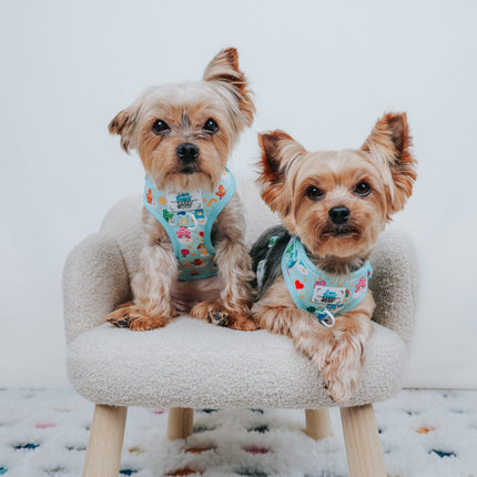 Dog Adjustable Harness - Care Bears™ Care-a-Lot